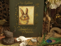 Mr. Rabbit's Symphony of Nature